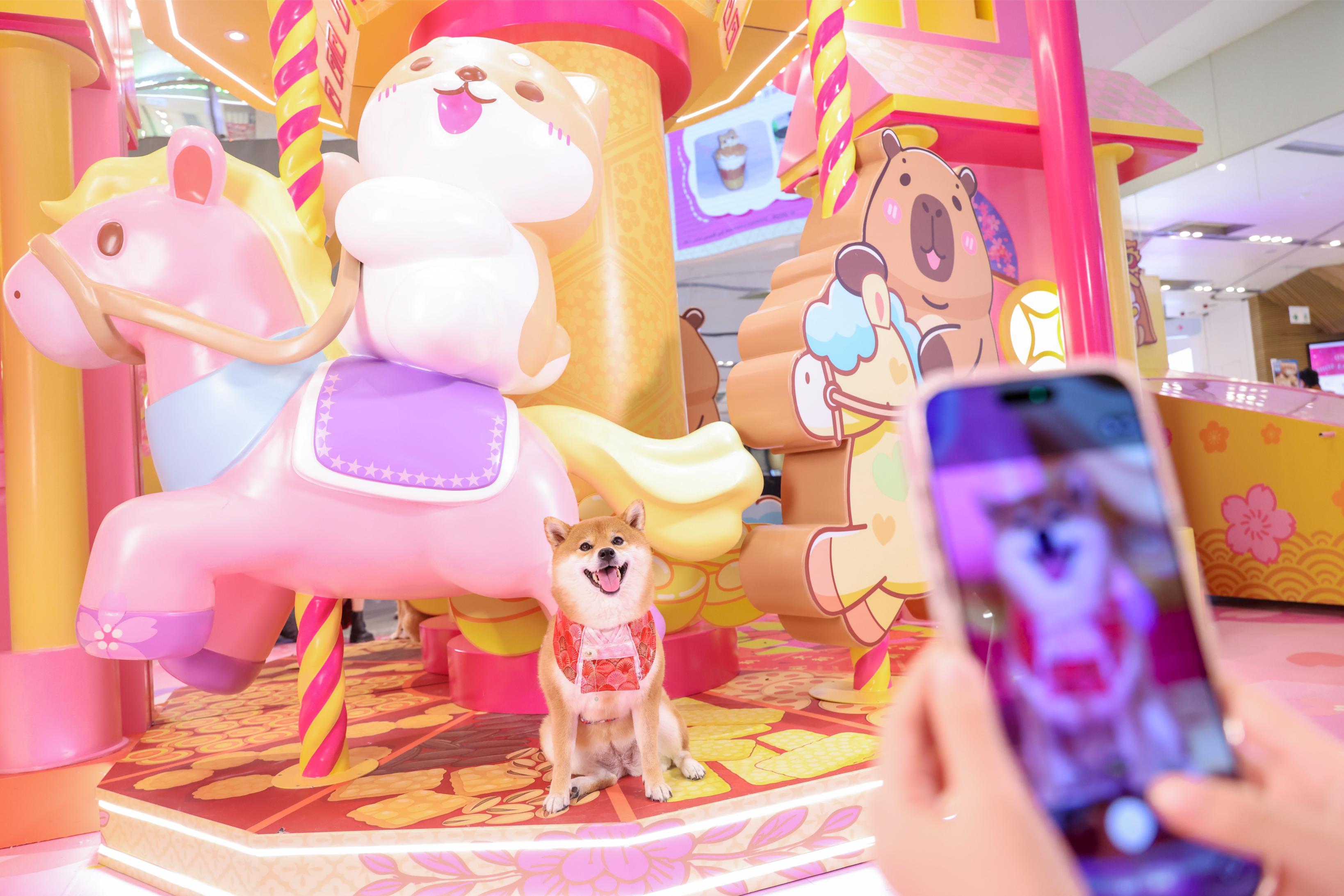 「柴運亨通幸運屋」