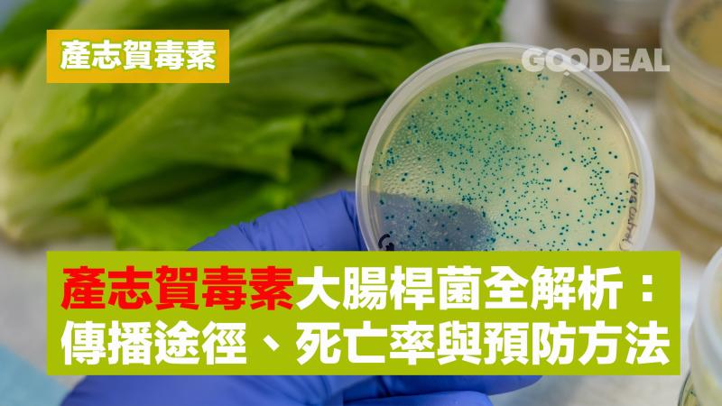 產志賀毒素｜產志賀毒素大腸桿菌全解析：傳播途徑、死亡率與預防方法