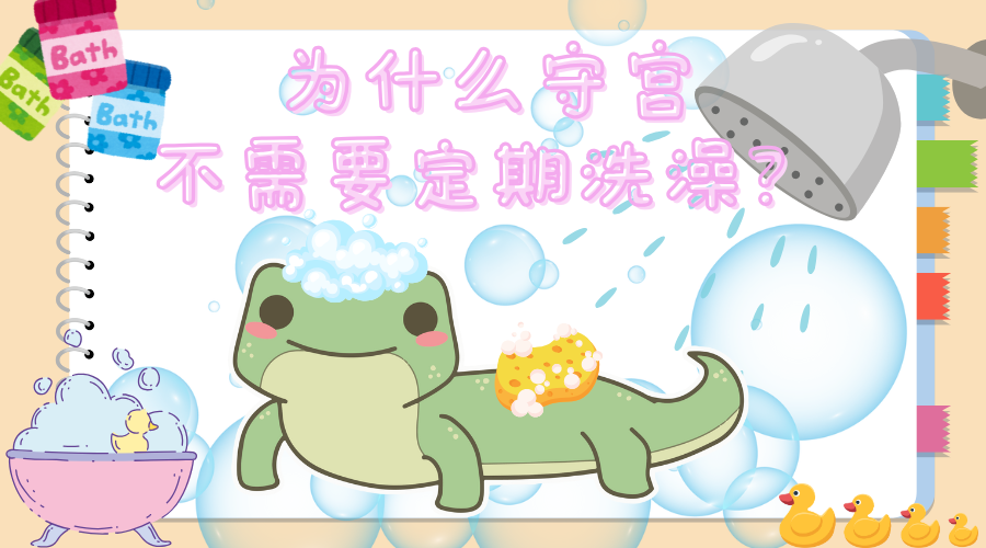守宮應該隔多久才洗澡一次？