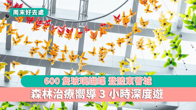 周末好去處｜600隻玻璃蝴蝶登陸東薈城 森林治療嚮導3小時深度遊