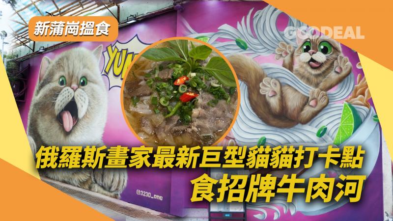 新蒲崗搵食 ｜俄羅斯畫家最新巨型貓貓打卡點 食招牌牛肉河