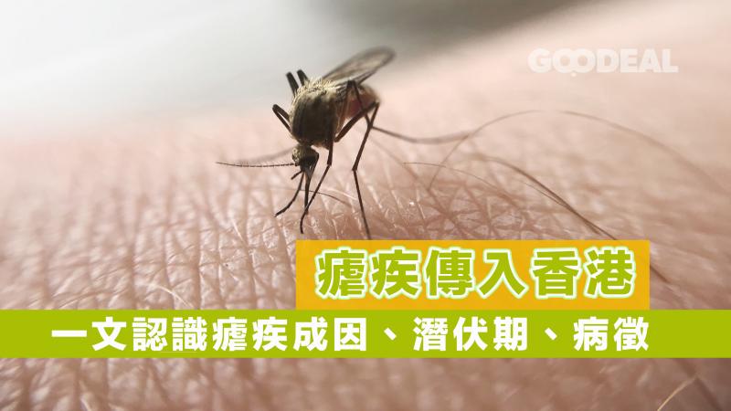 【瘧疾傳入香港】一文認識瘧疾成因、潛伏期、病徵