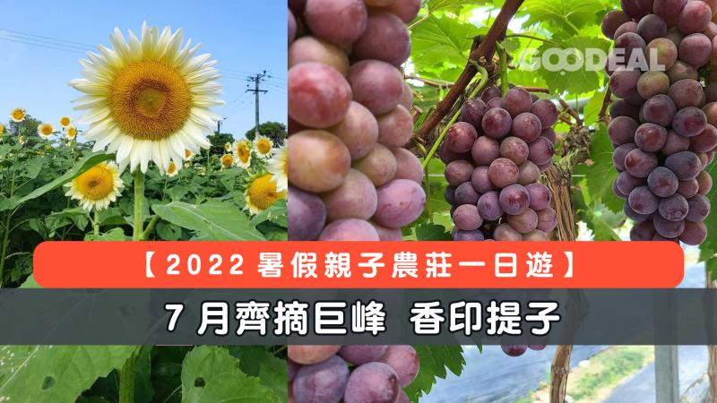 【2022暑假親子活動】農莊一日遊  7月齊摘巨峰、香印提子