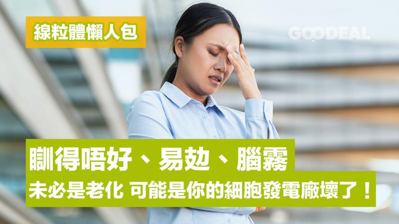 線粒體懶人包｜瞓得唔好、易攰、腦霧 未必是老化 可能是你的細胞發電廠壞了！