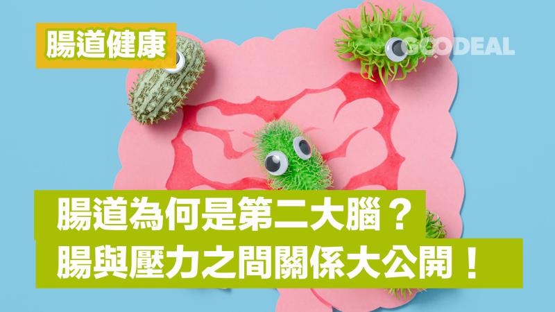 腸道健康 ｜腸道為何是第二大腦？腸與壓力之間關係大公開！